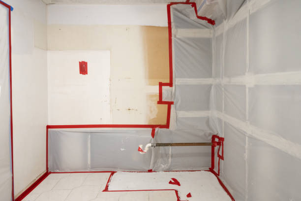 Forensic Mold Investigation in Marysville, CA