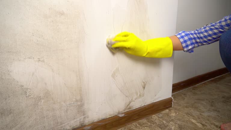 Dehumidification Services in Marysville, CA