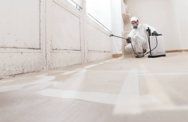 Best Attic Mold Removal  in Marysville, CA